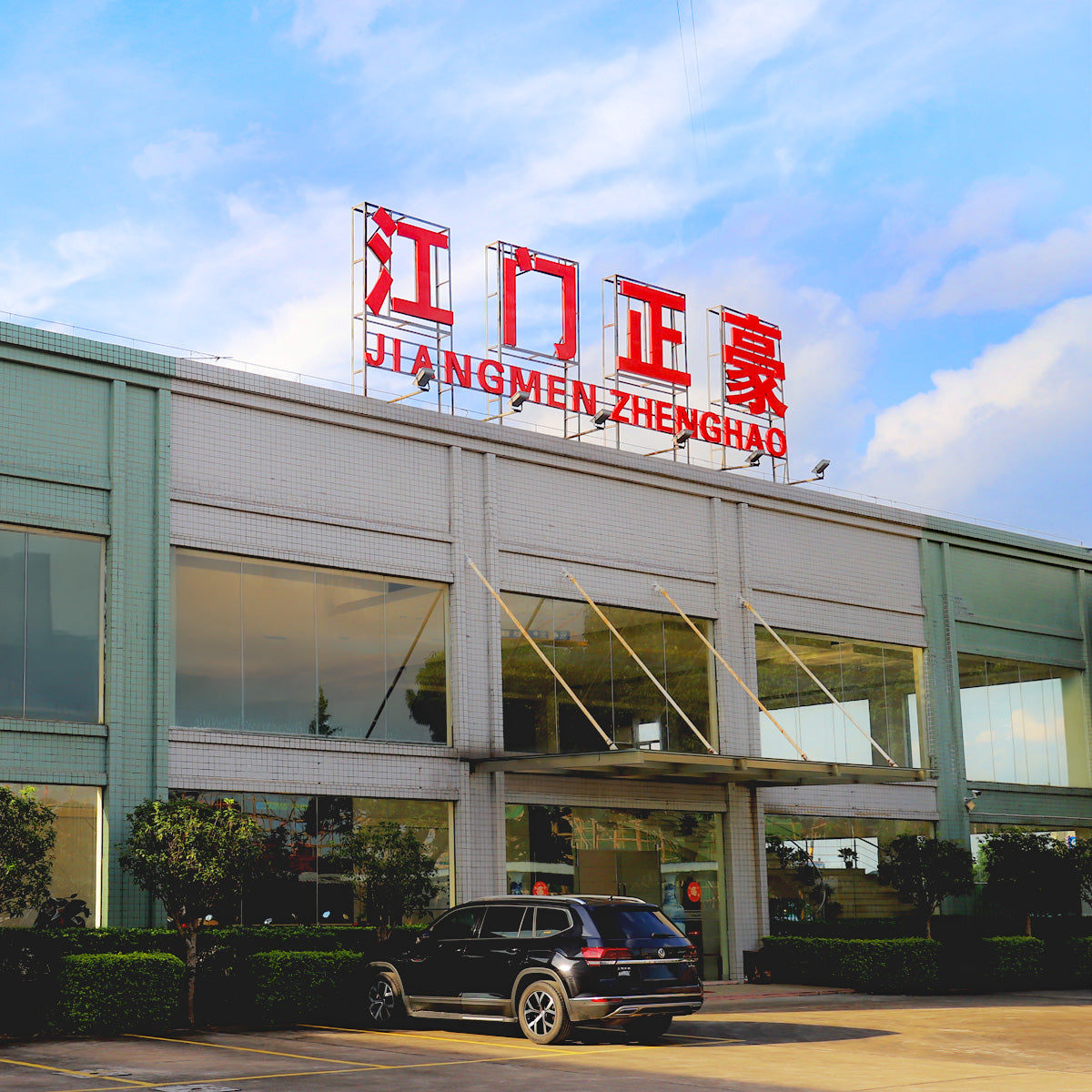 Four-wheeled vehicle 01